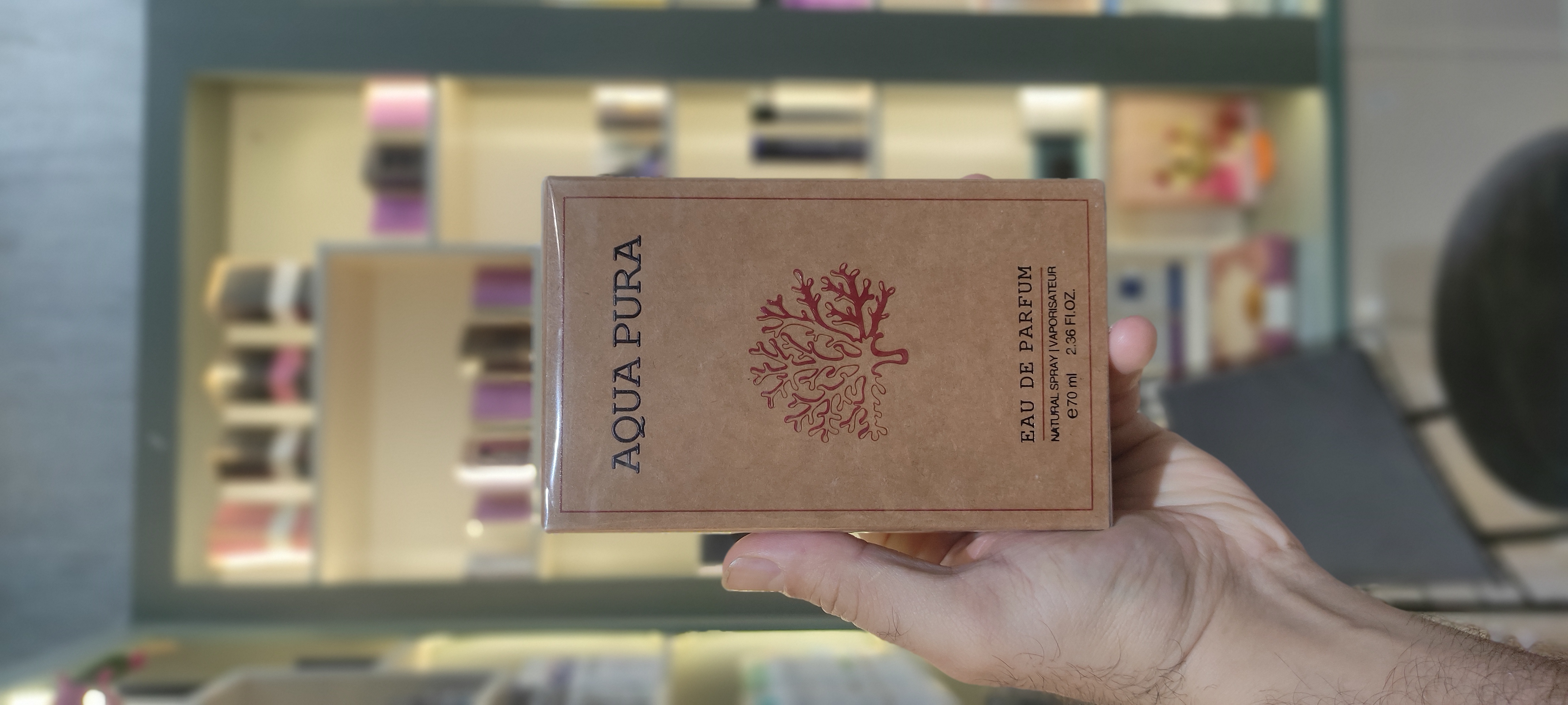 عطر ادکلن آکوا پورا مشابه مگا ماره اورتو پاریسی